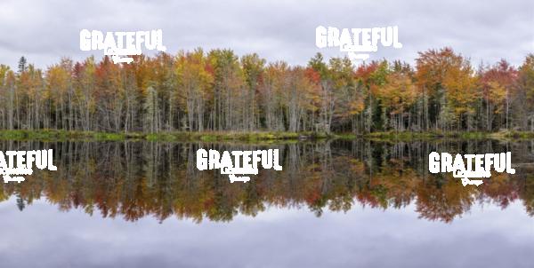 Fall color with reflections in Maine 2
