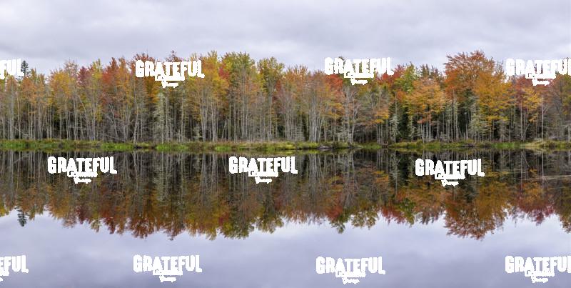 Fall color with reflections in Maine 2