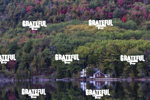 fall color in acadia 2