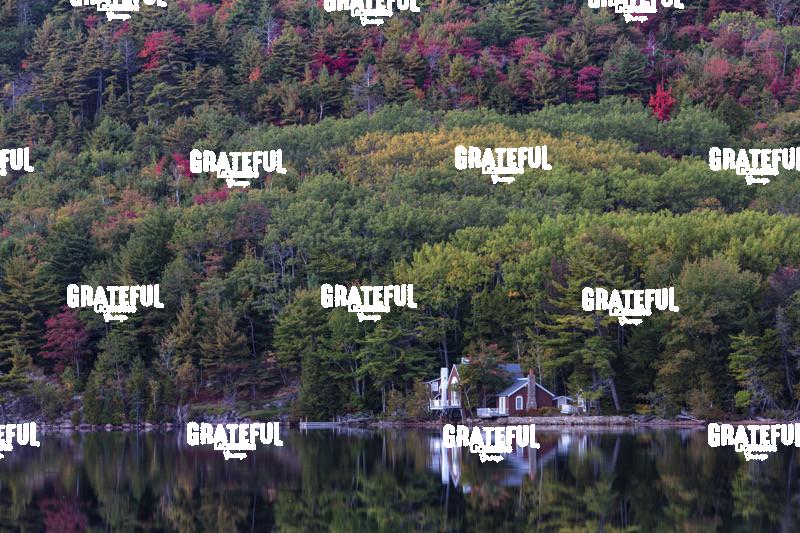 fall color in acadia 2