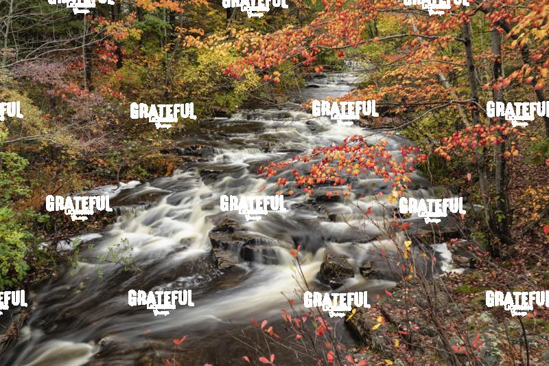 Flowing river and fall color in Acadia National Park