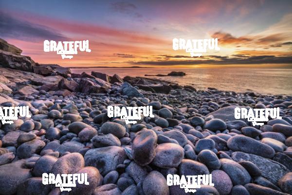 Boulder Beach in Acadia National Park 3
