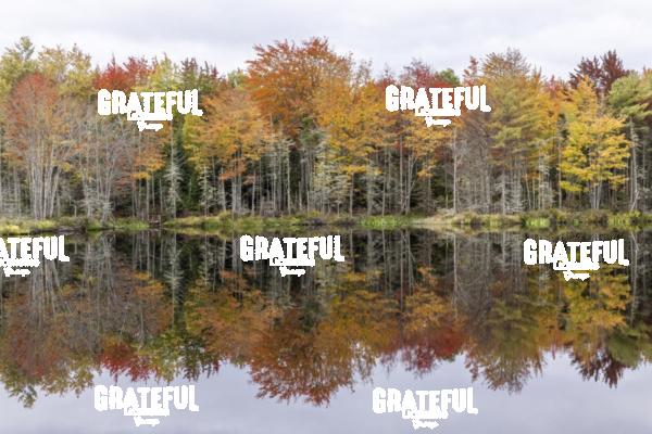 Fall Color with Reflections in Maine