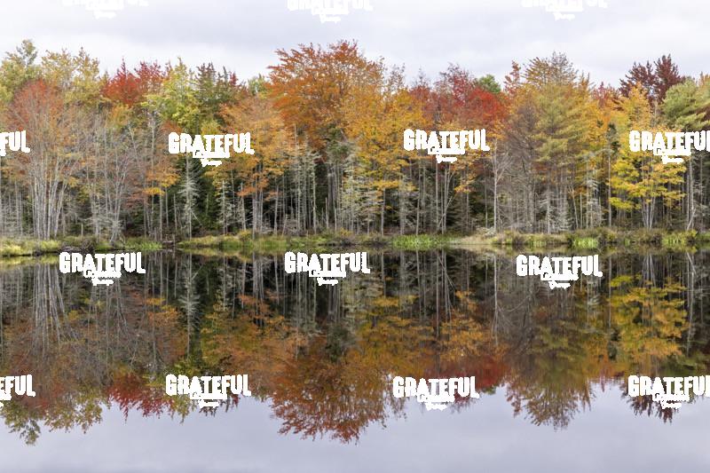 Fall Color with Reflections in Maine
