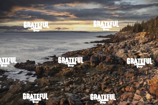 The Coastline of Acadia National Park
