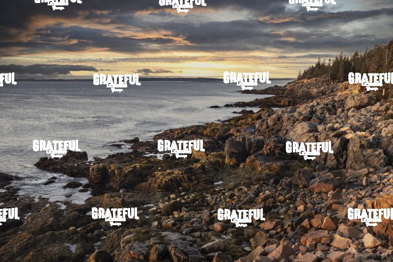 The Coastline of Acadia National Park