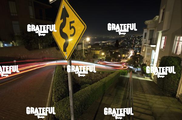 Lombard Street in San Francisco 2