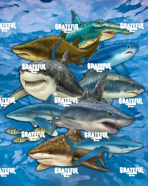 Shark Collage