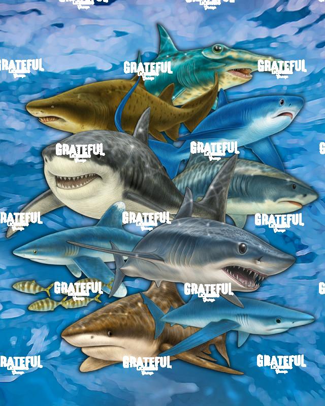 Shark Collage