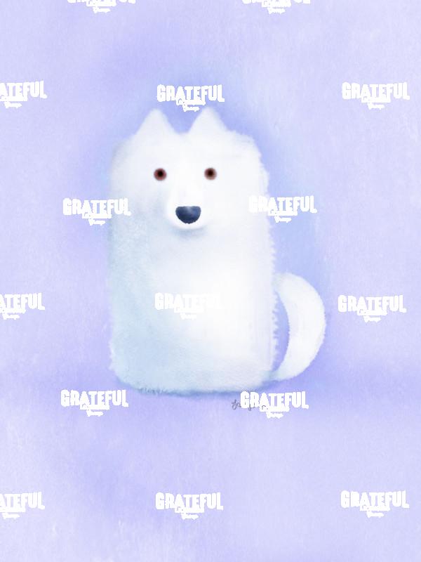 Fluffy White Dog