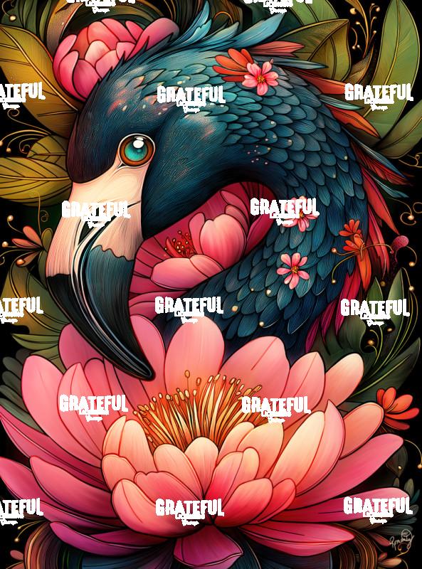 Flamingo Fantastico - Cairo