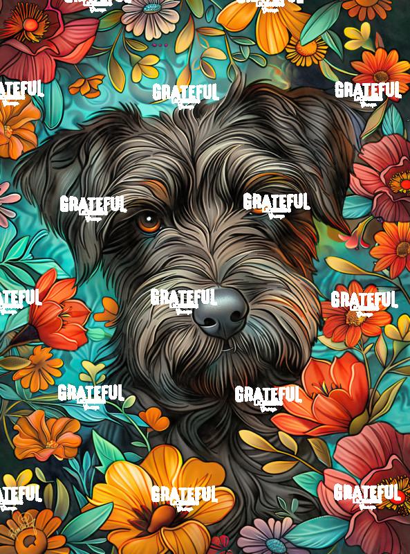 Bella's Babies - Angus