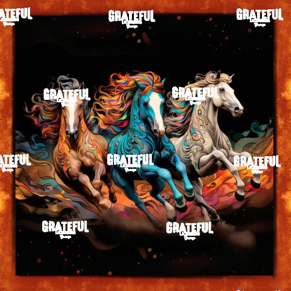 Drinkers Of The Wind - Trio 2 Border