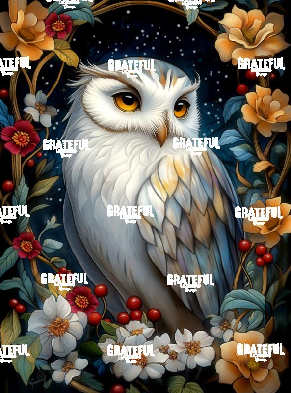 The WInter King's Storybook - Orionis