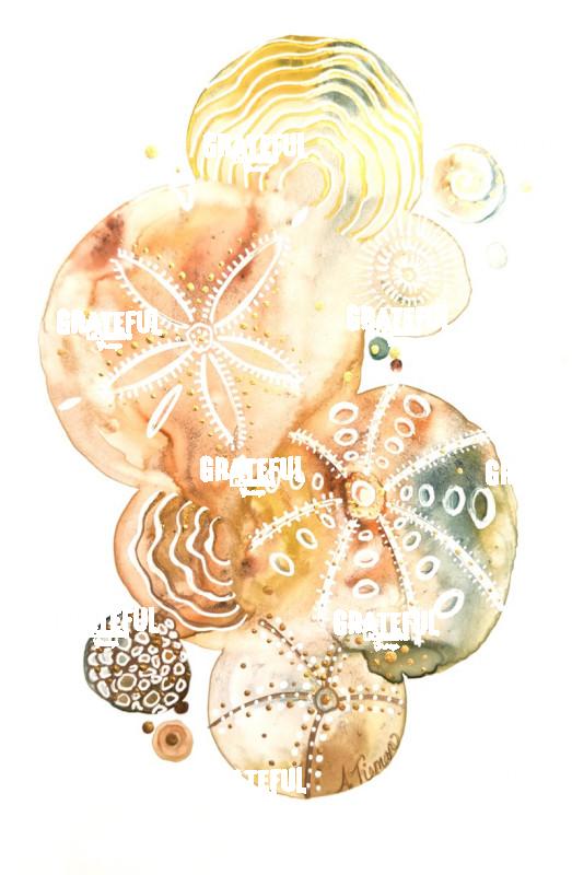 Treasures Of The Sea 2