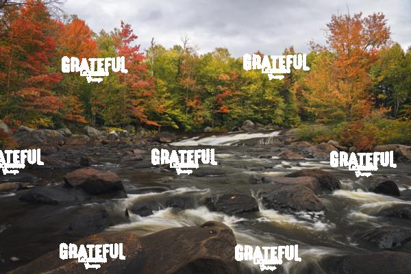 Fall on the Grasse River
