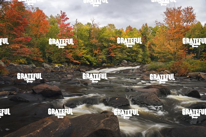 Fall on the Grasse River
