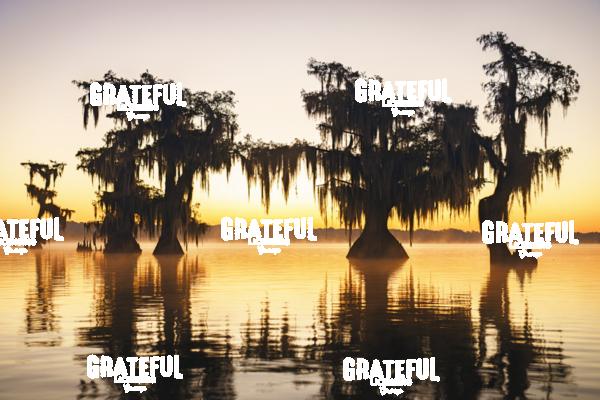 Sunrise at Attakapas Landing