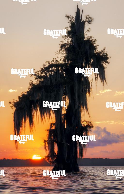 Lake Verret's Last Light