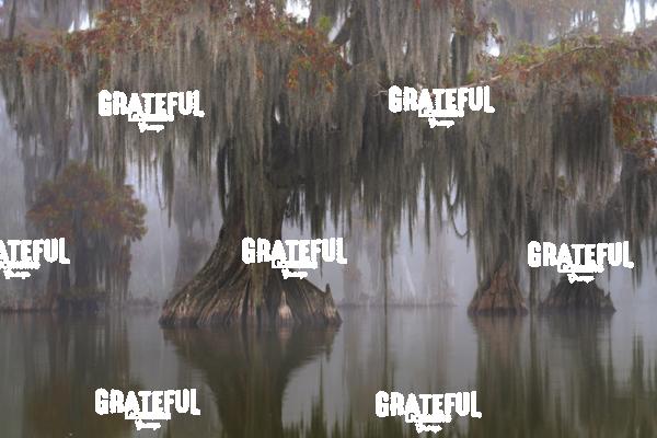 The Land Time Forgot