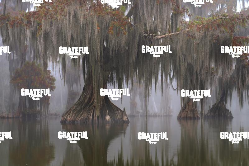 The Land Time Forgot