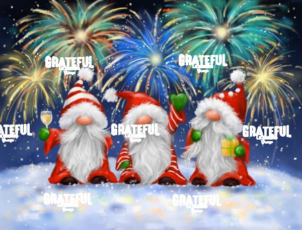 Gnomes and Fireworks