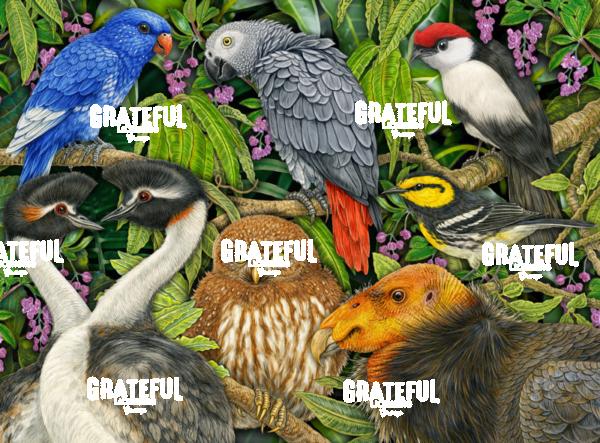 Endangered Birds_300dpi_TimJeffsArt.tif