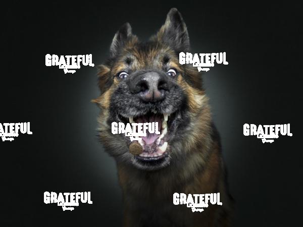 190224 Husta Chuck 2-1