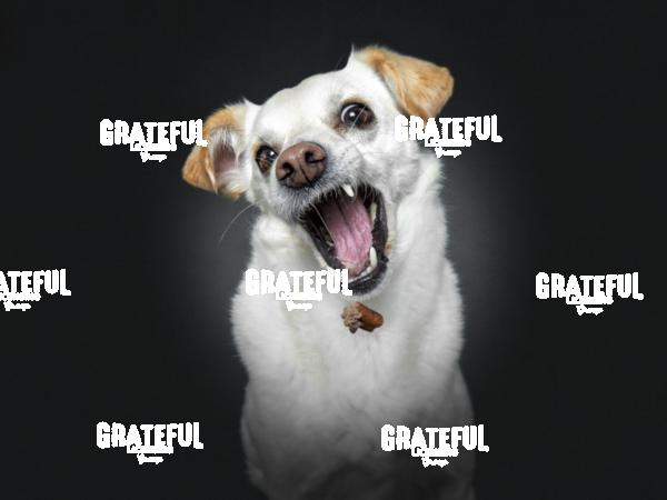 190227 Wagner Luke 23-1