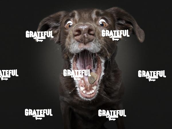 190226 Lambrich Leni 43