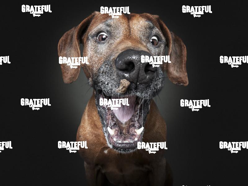 190315 Freesmeyer 18