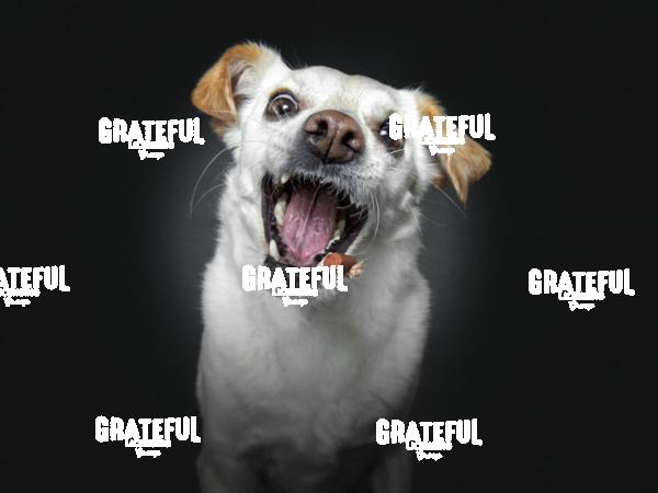 190227 Wagner Luke 27-1