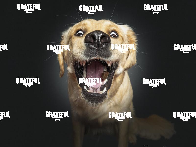 220814 Schwickerath Maya 13-1