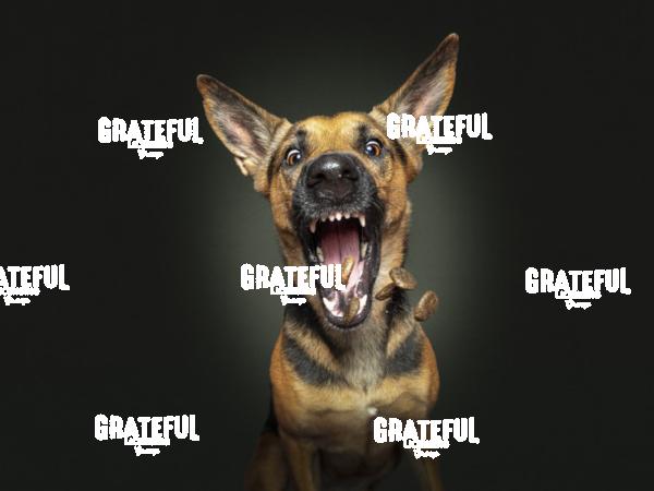 220812 Rudolph Nala 1