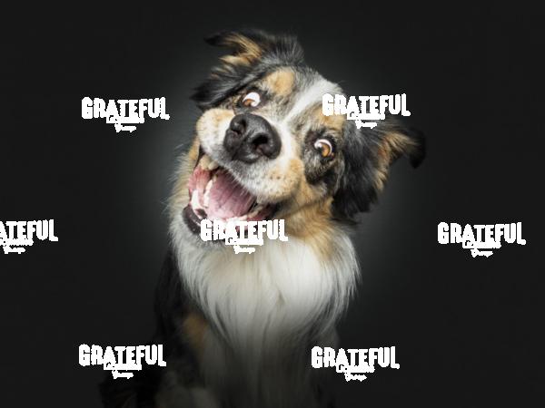 220726 Morley Dug 51