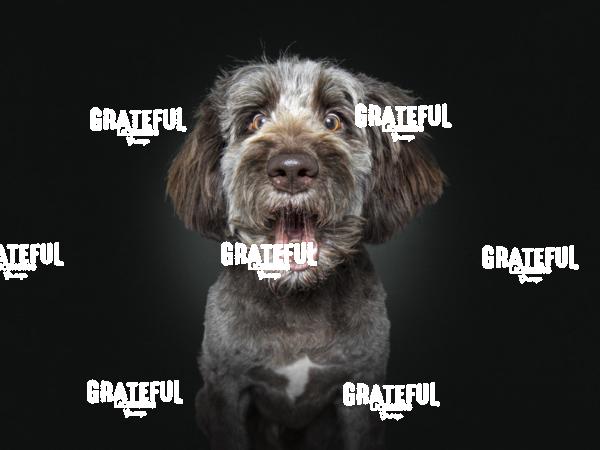 190307 Stedmon-Daniels Buddy 57