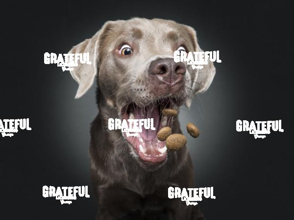 190611 Pana Wachholz Naldo23-1