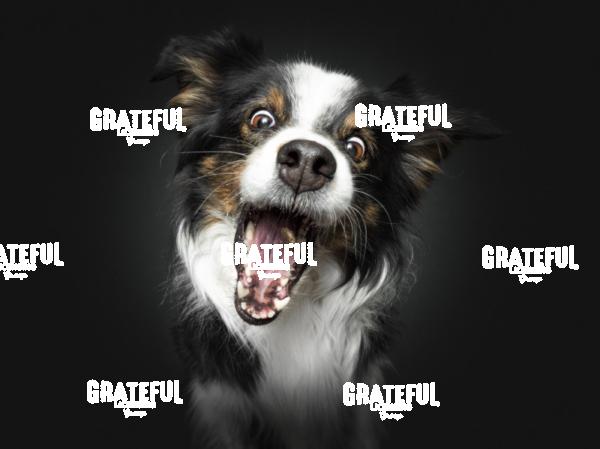 220330 Rueffert Amy Holly 51