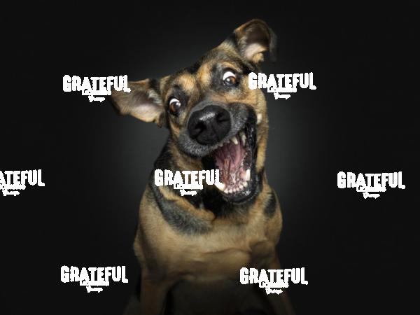 220326 Sutter Janu 2