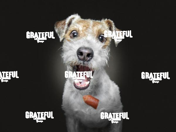 190304 Weiss Pelle Lilly 52-1