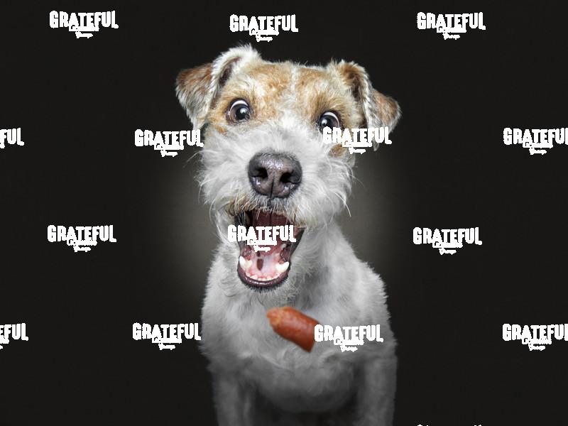 190304 Weiss Pelle Lilly 52-1