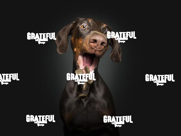 220310 Wagner Zilla 56