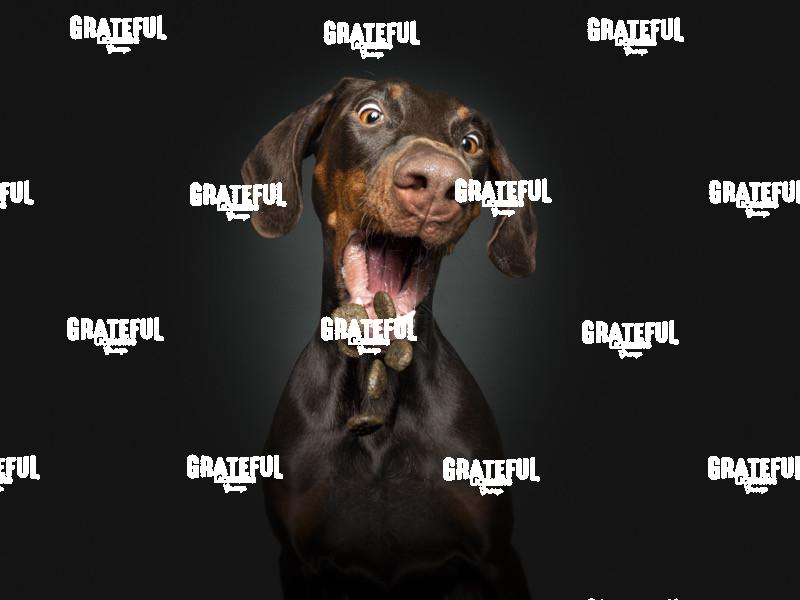 220310 Wagner Zilla 56