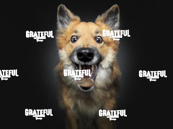 190220 Kopf Lenny 43