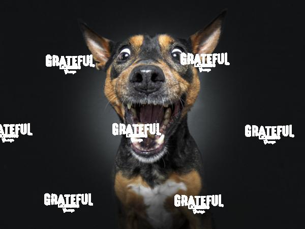 190225 Pohl Goofy 19-2