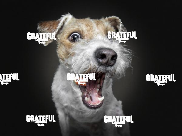 190304 Weiss Pelle Lilly 8-1