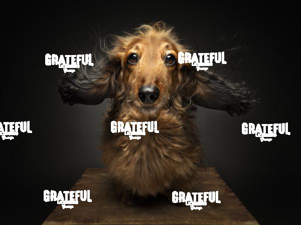 250312 deBruyn Chester Leo 183