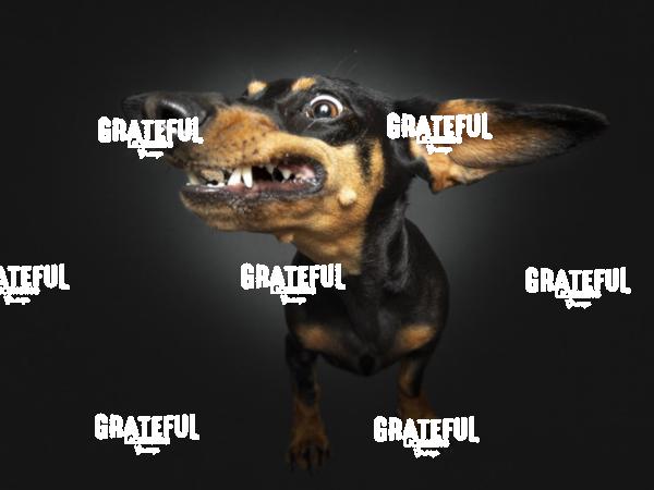 230621 Spiekermann Amy 62