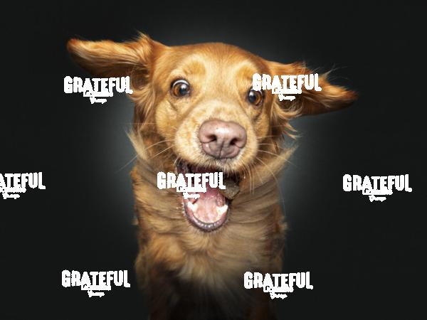 230415 Ruediger Tesha 55