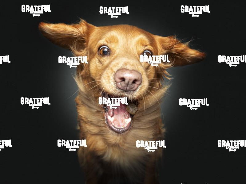 230415 Ruediger Tesha 55